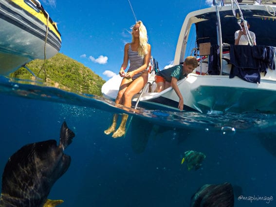 Bareboaters enjoy marine life experiences up close and personal in the Whitsundays